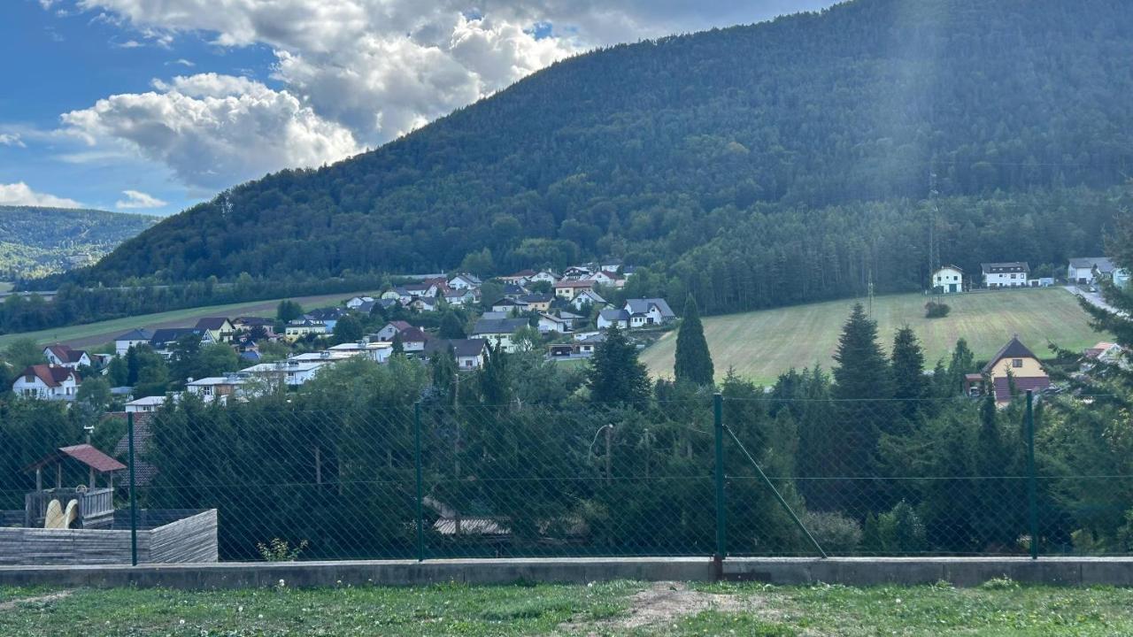 Ferienwohnung Holzer Enzenreith - B&B Enzenreith