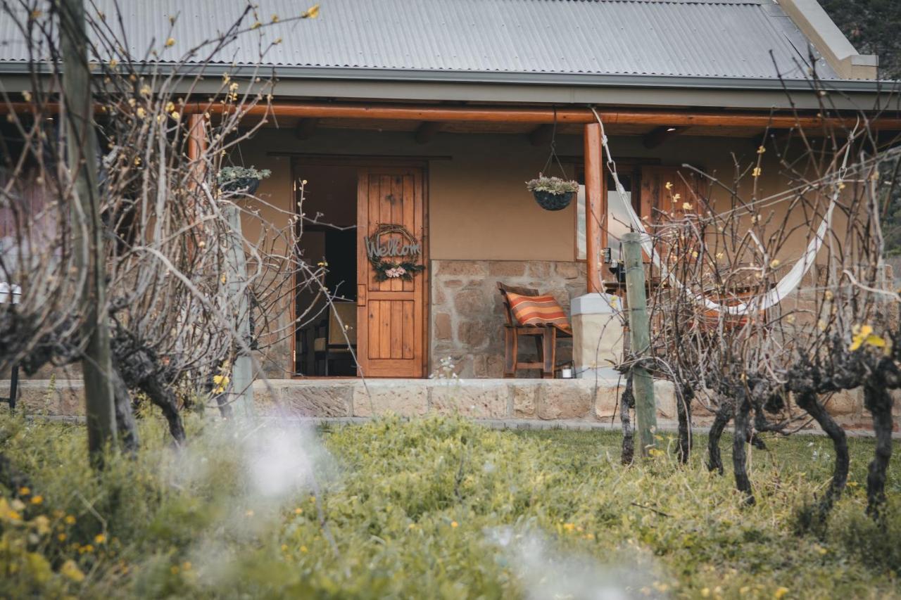 Vogelsang Farm Cottage - B&B Oudtshoorn