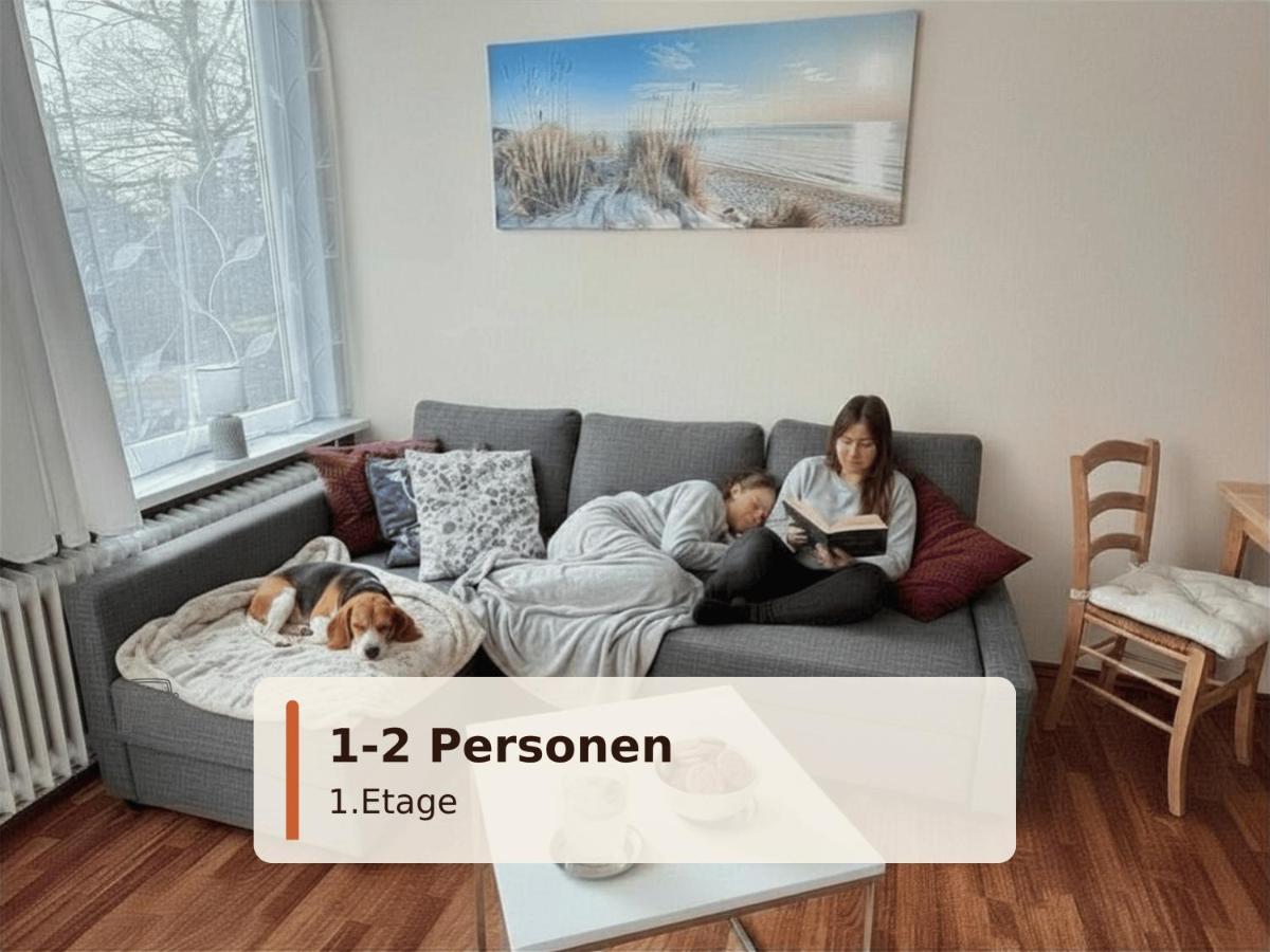 Appartement 1 Chambre - Non-Fumeurs