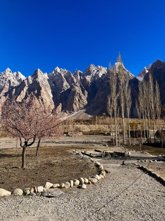 Snow Leopard Cave - Chambres d'hôtes Passu