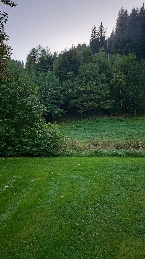 Ferienwohnung Waldstübchen - Chambres d'hôtes Wildemann