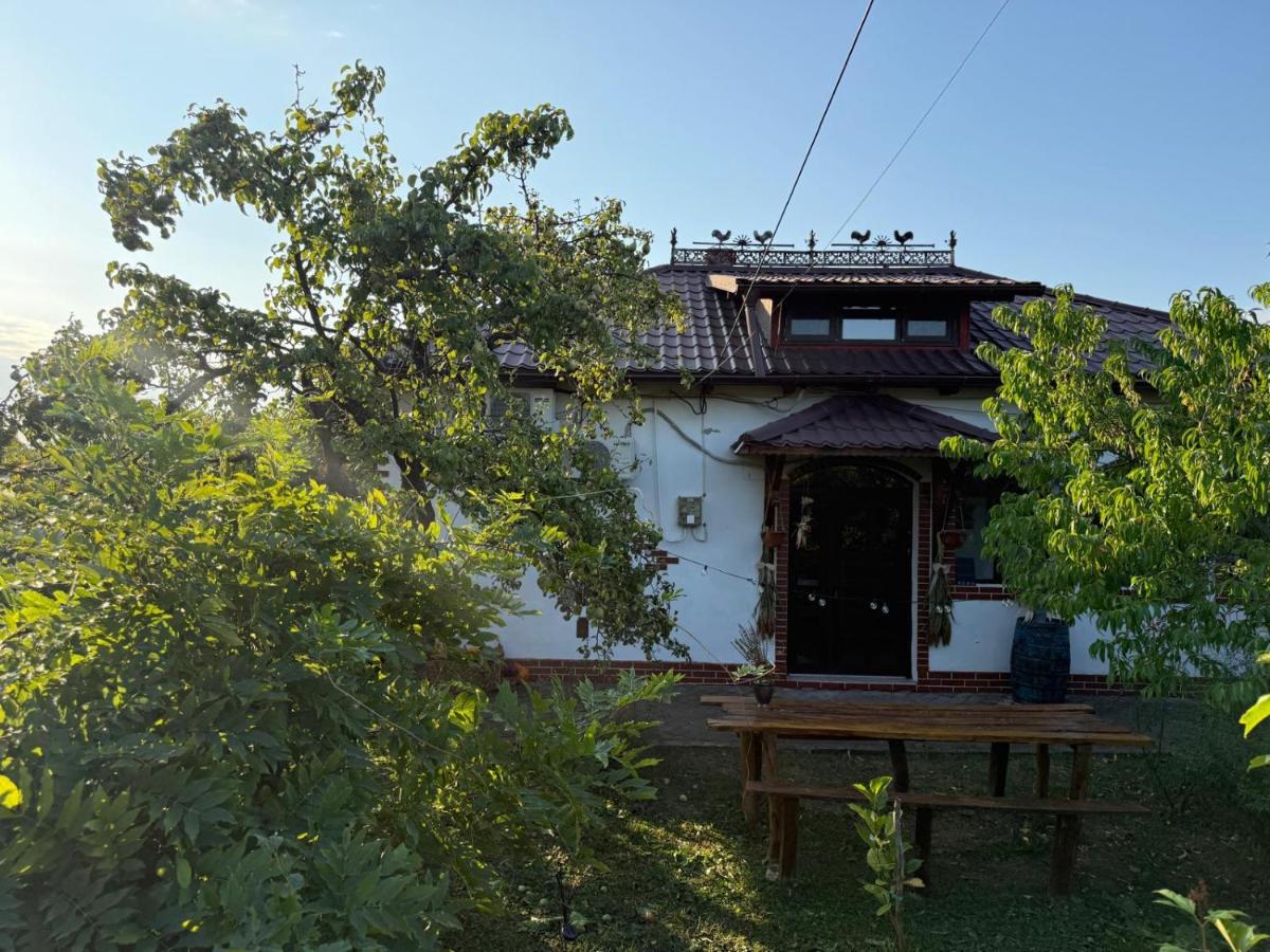 Casa Cuca Macai - B&B Lăunele