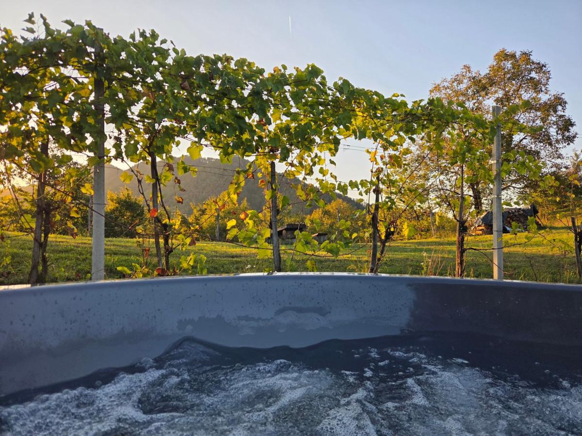 Macelj Luxury Hillside Resort & Private Spa Lodge - Chambres d'hôtes Gronji Macelj