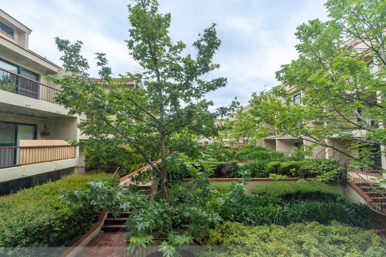 Reid5 2BR Apartment Close to Glebe Park and Canberra City - B&B Canberra