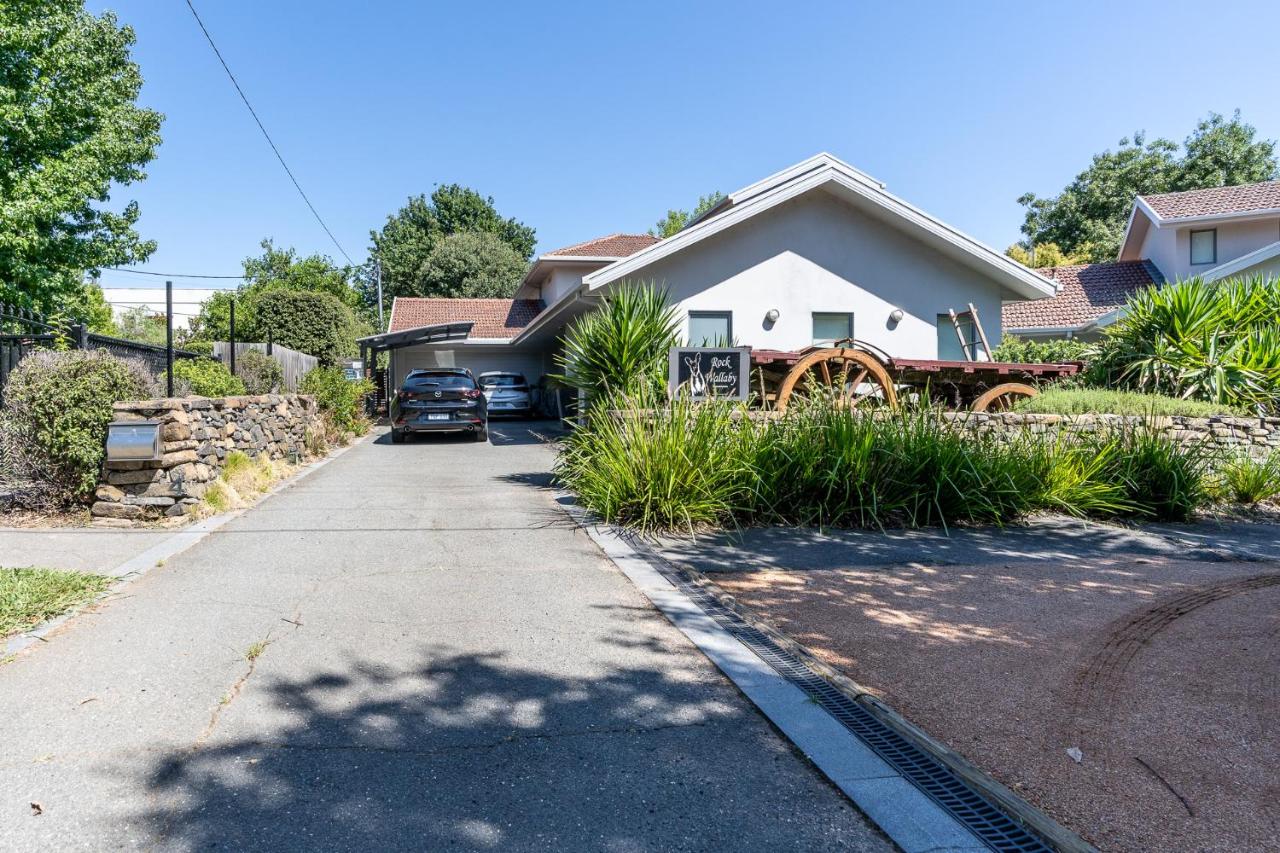 Serene 2BR House near the heart of Kingston - B&B Kingston