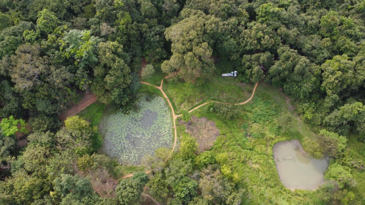 Back of Beyond - Wild Haven - B&B Sigiriya