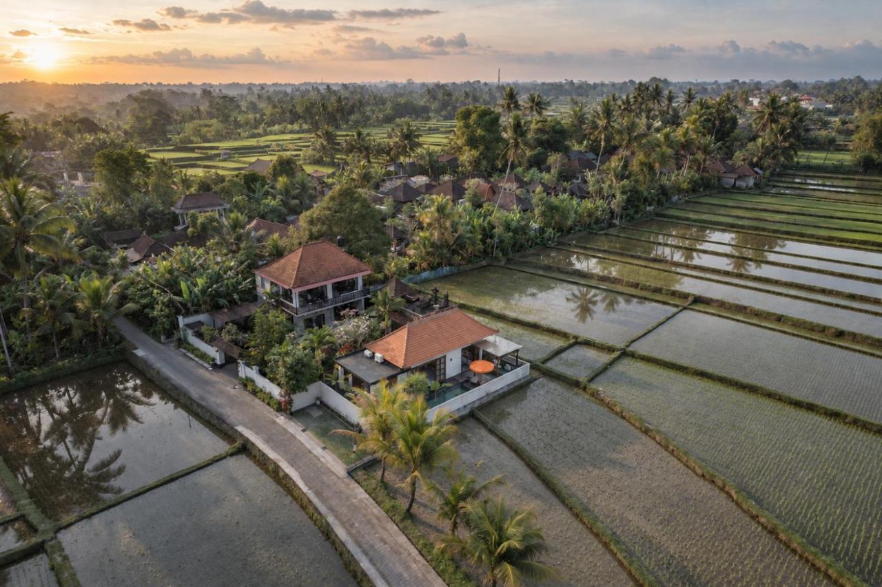 Umah Bali Villa - Bed and Breakfast Ubud
