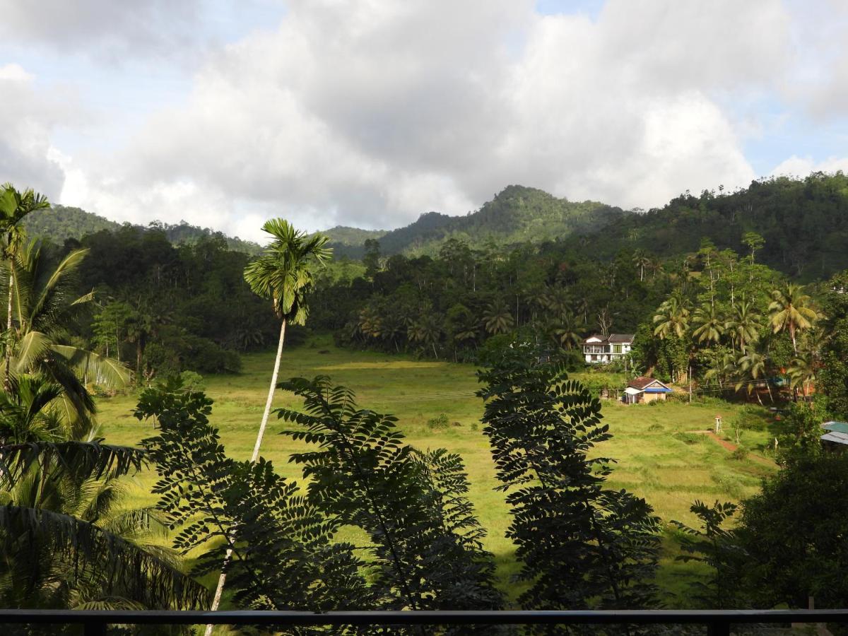 Rainforest Border Edge - Bed and Breakfast Deniyaya
