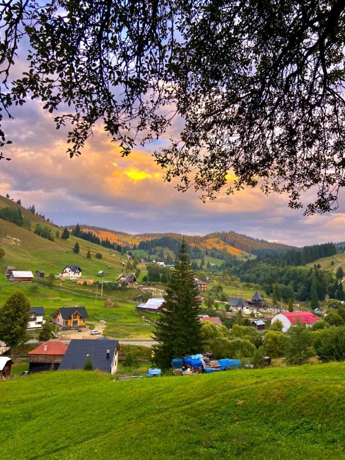 Pensiunea Casa Fierarul din Bucovina - Ferienwohnung Vatra Moldoviţei