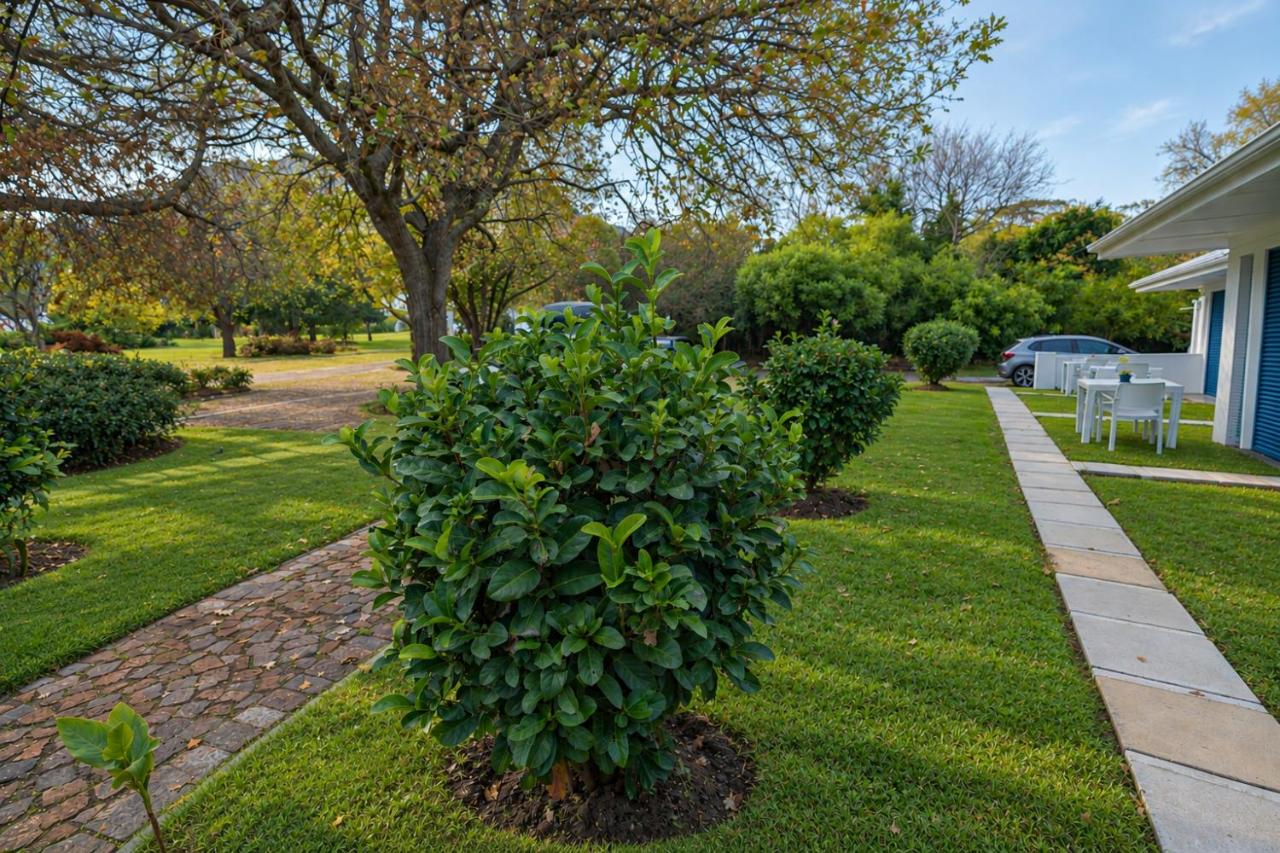 theLAB BLUE - Ferienwohnung Franschhoek