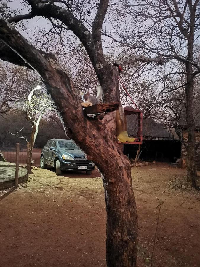 Chip n Debs Kruger Vacations - B&B Marloth Park
