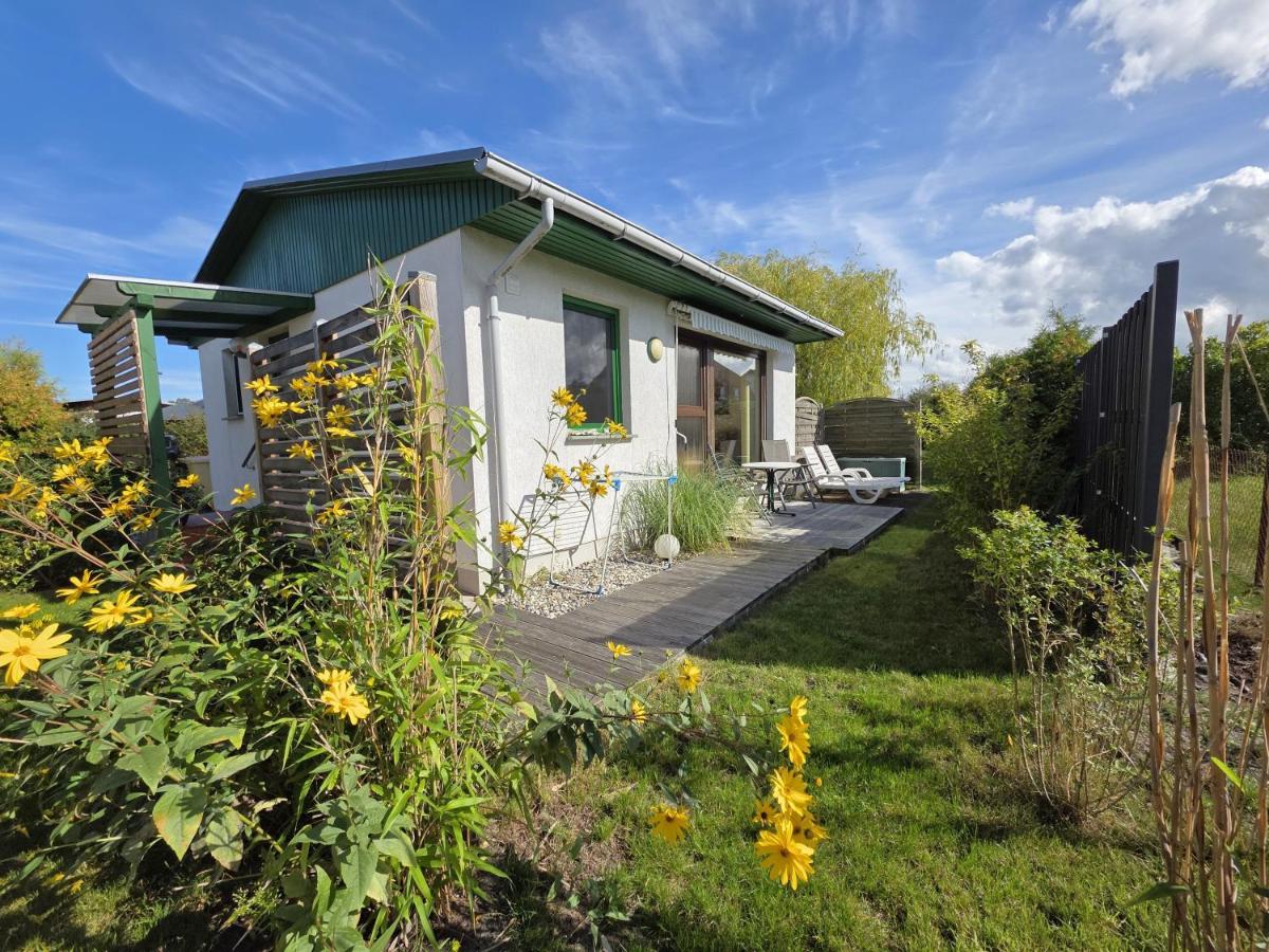 Ferienhaus Graf Leoni - B&B Karlshagen