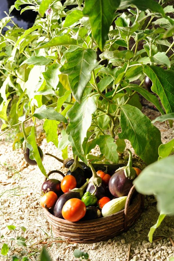 Kivotos Villa Private Pool - B&B Maroulas