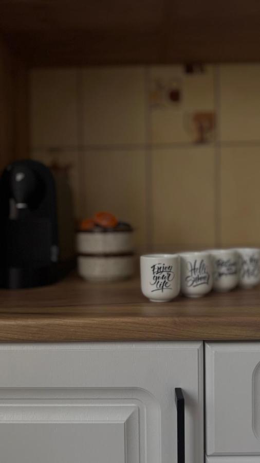 Yoku House - Ferienwohnung Făgăraș