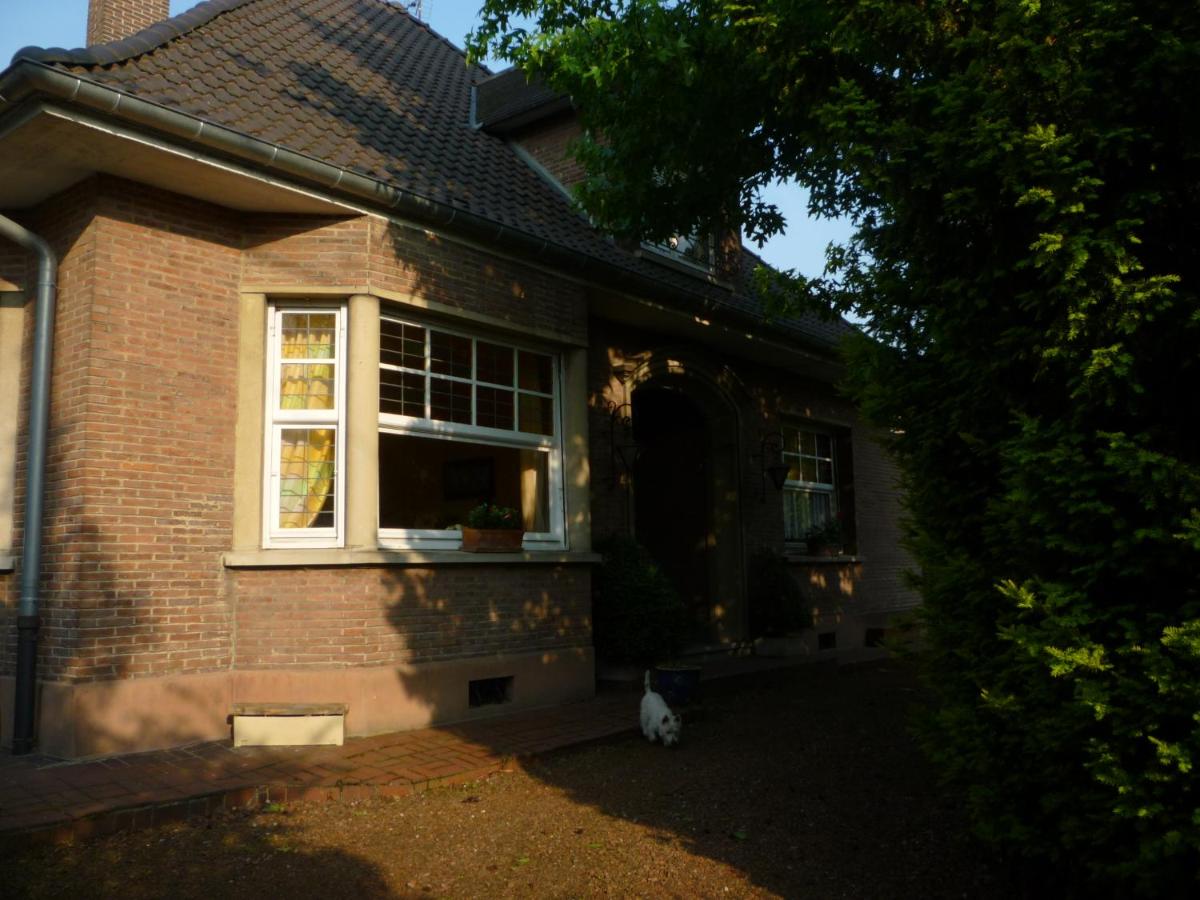 au vieux cèdre - B&B