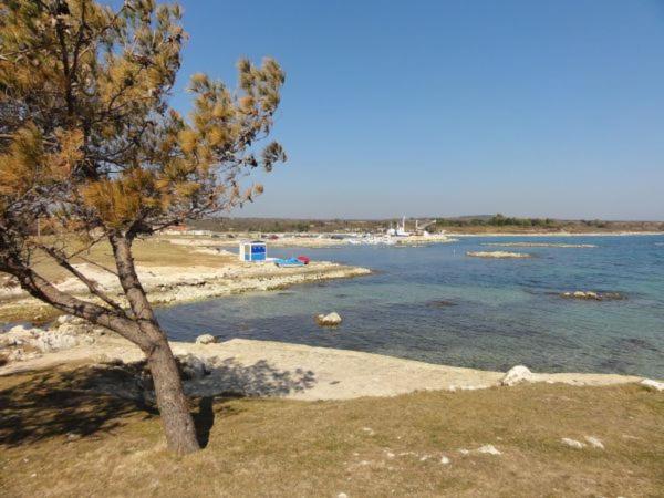 Apartmani Lusi - Bed and Breakfast Ližnjan