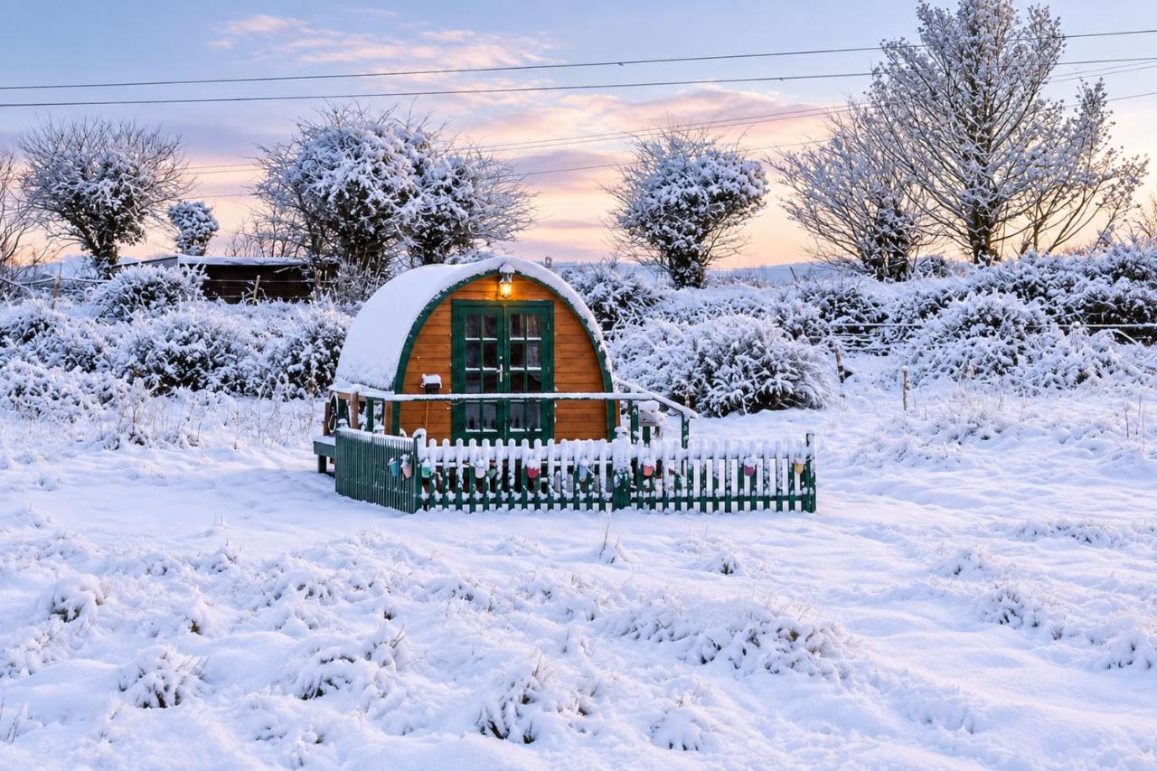 Glamping Pod in St Austell Sleeps 2 with Spa Pool - B&B St Austell