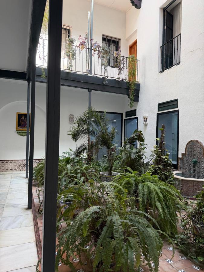 Sierpes Premium Apartments - B&B Sevilla