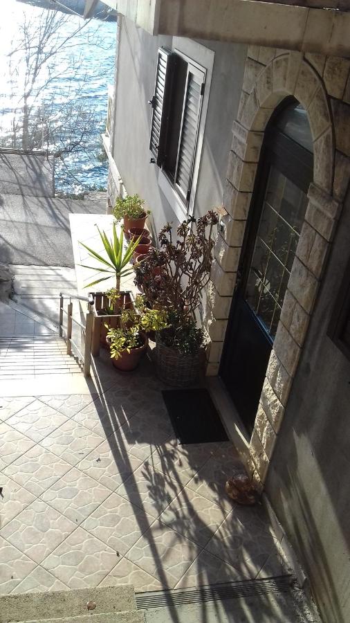 Antonia Apartments - B&B Zavalatica