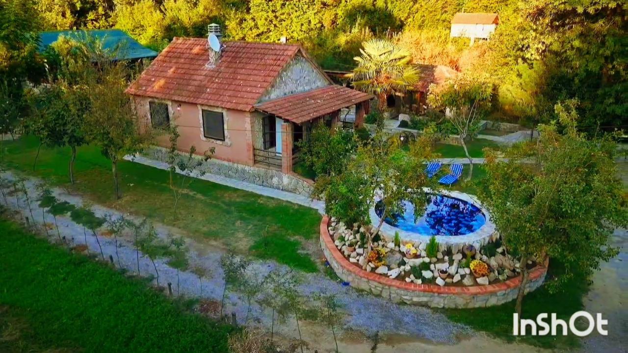 Forest Home - B&B Golubovci