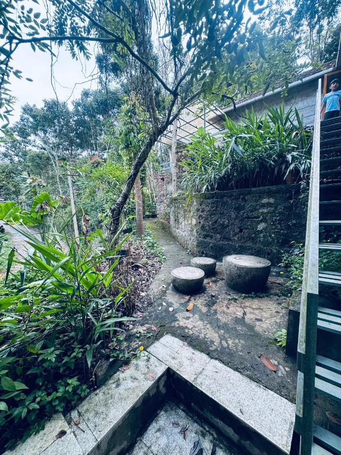 Misty wood - B&B Thekkady