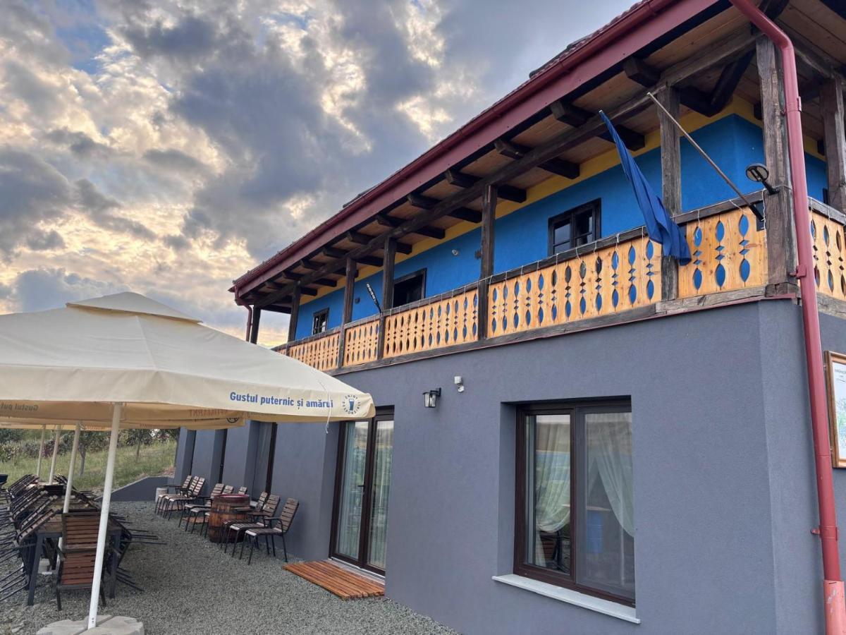 Casa cu Livezi - B&B Dumbrăviţa