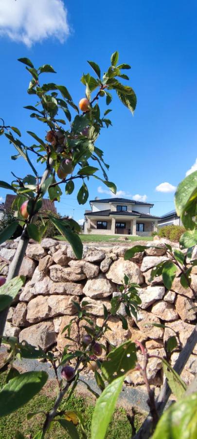Eifelfinca - B&B Wiesbaum