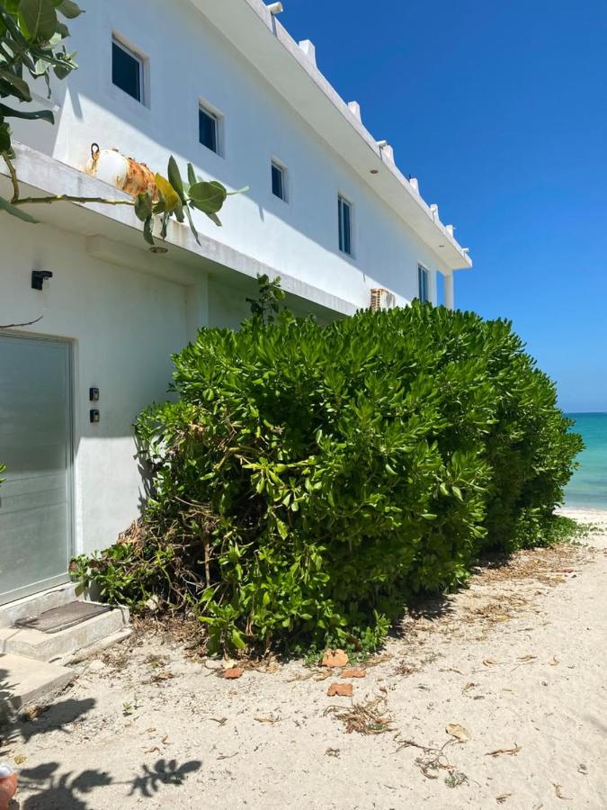 Departamento en playa Chelem - Ferienwohnung Chelem