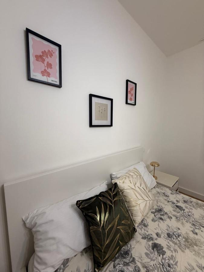 Sage&Velvet Apartment - B&B Pisa