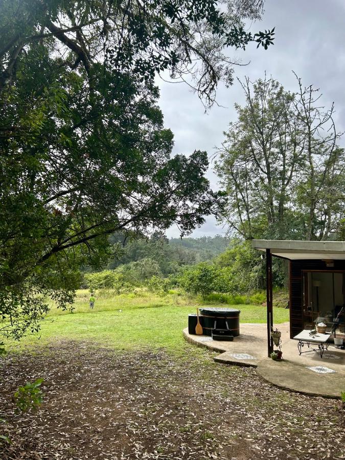 Soul Forest Cabin Nature Retreat with Hot Tub - B&B Sedgefield