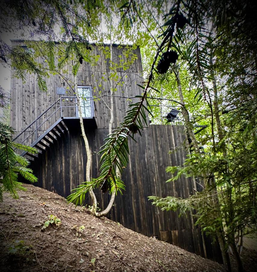 Tree house Predeal THE STARS CABIN 3 Ciubar - Ferienwohnung Predeal