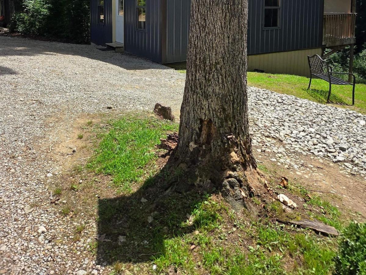 Firefly Landing at Avenwood Cabins - Ferienwohnung New Straitsville