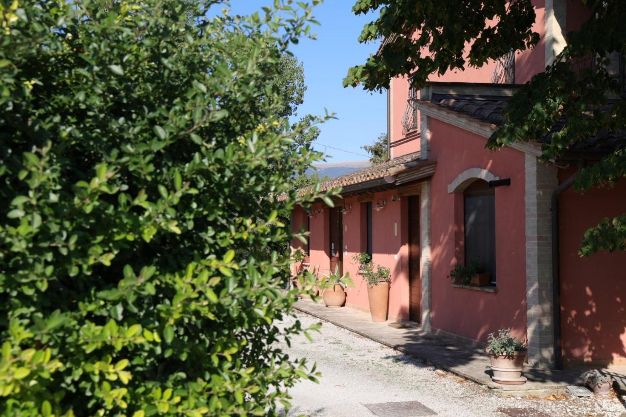 La Casa dei Tigli - B&B Cannara