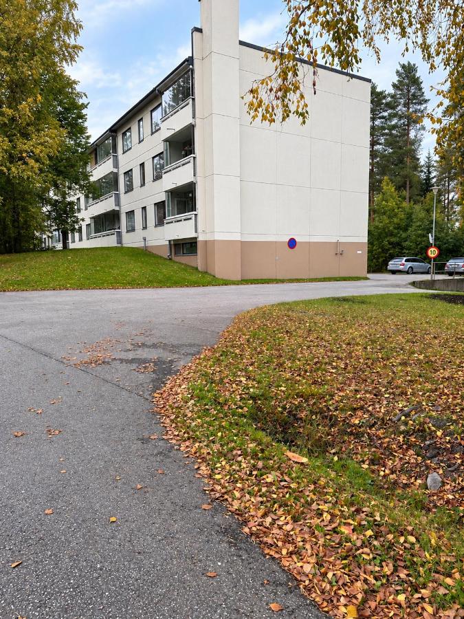 Amber Apartment - Bed and Breakfast Kajaani