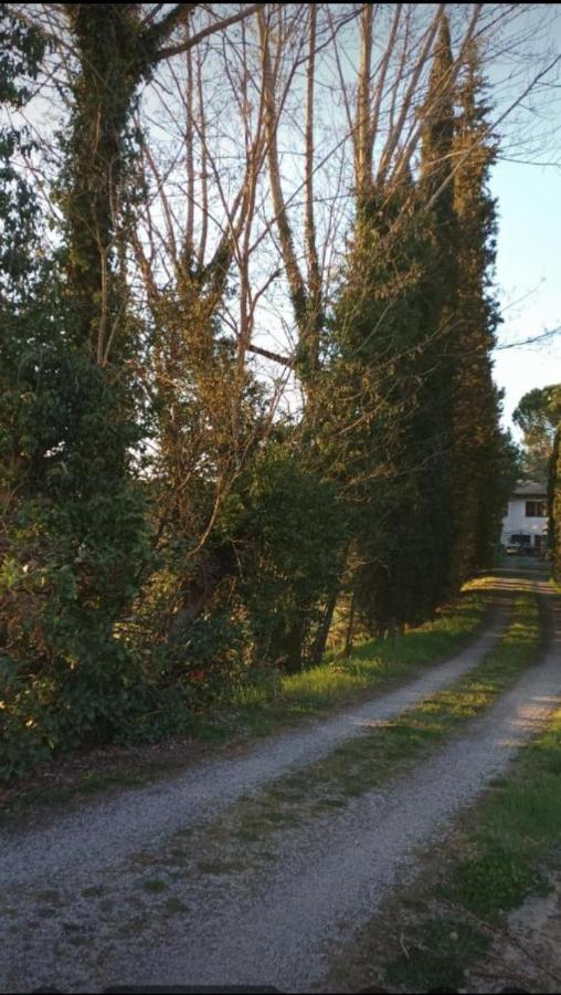 La quiete del bosco di Geggiano, Siena - B&B Castelnuovo Berardenga