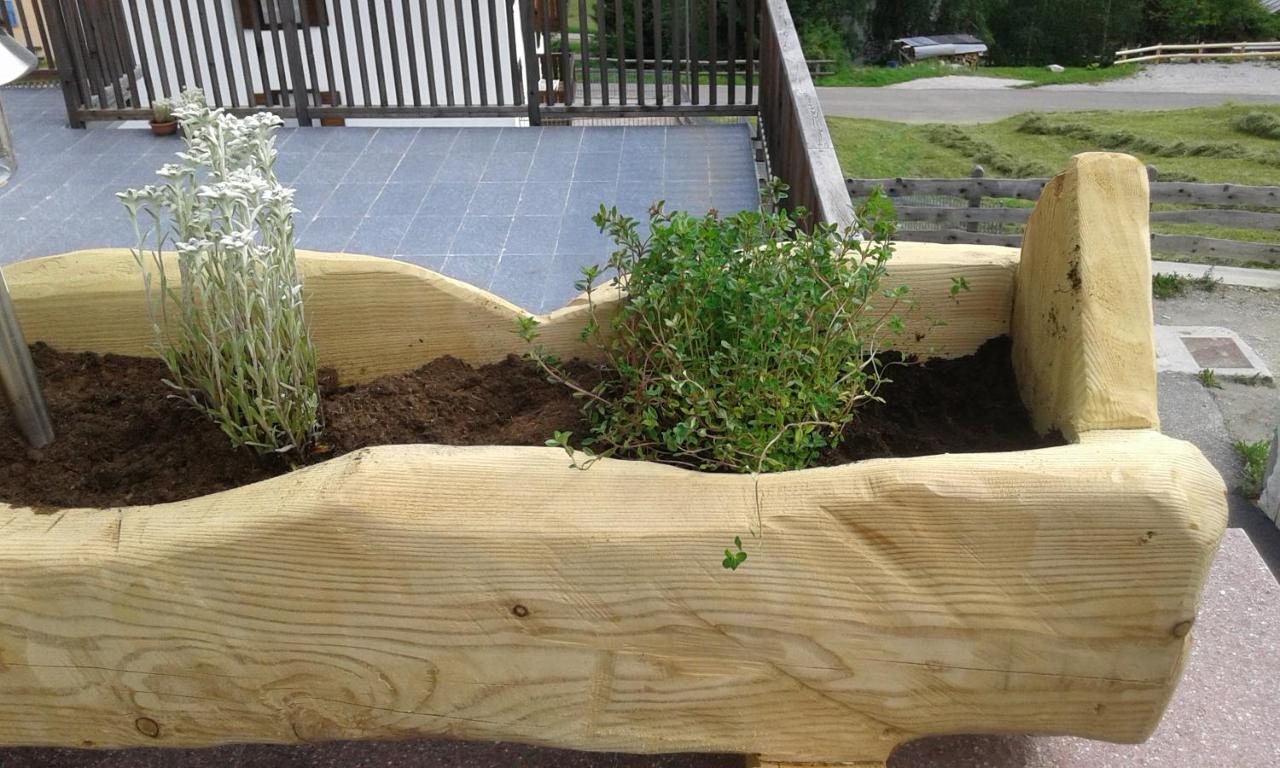 Appartamento con Vista Montagna