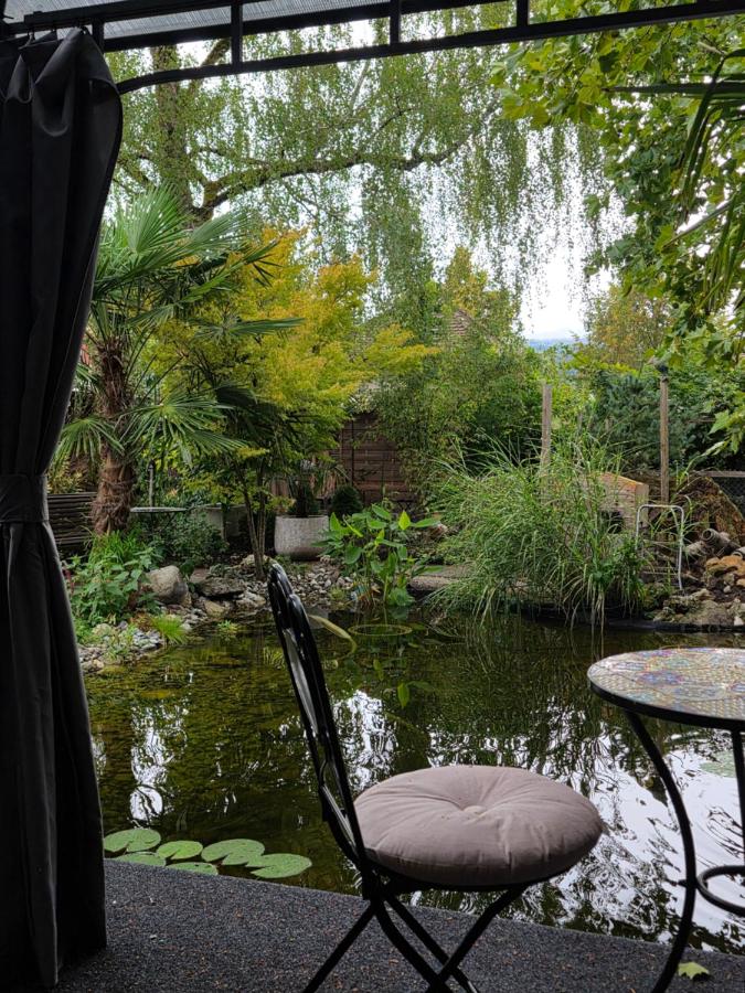 BnB Erlach - B&B Erlach