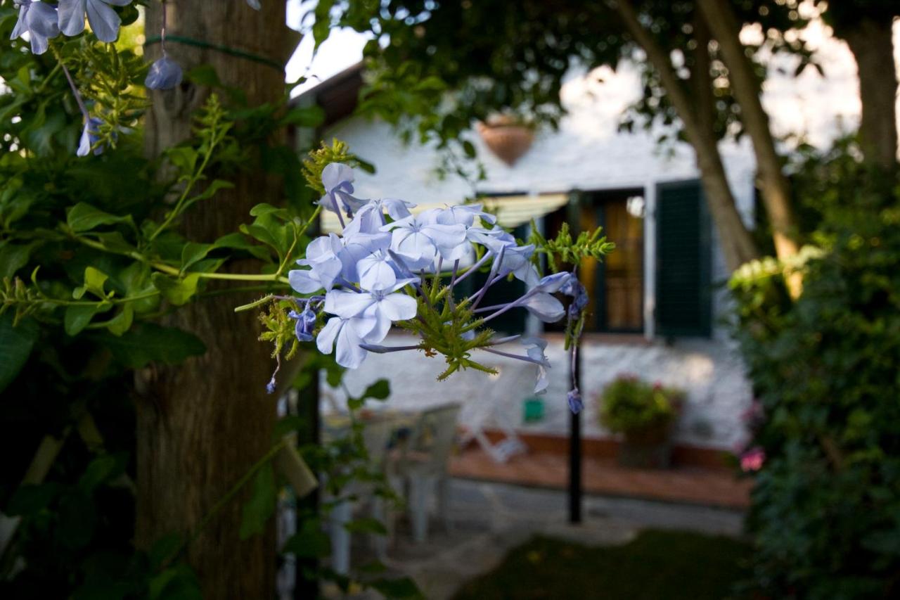 Case Vacanza la Ventura - Bed and Breakfast