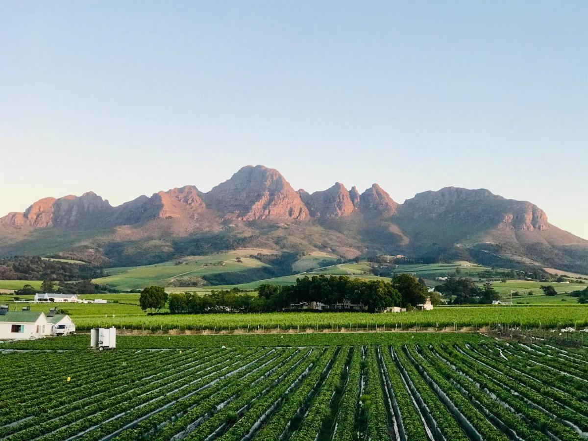 Naby-My Stellenbosch Cottage - Chambres d'hôtes Stellenbosch