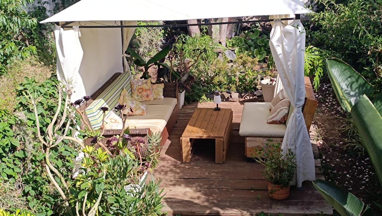 Casa Jardín del sol planta baja - Chambres d'hôtes Tacoronte