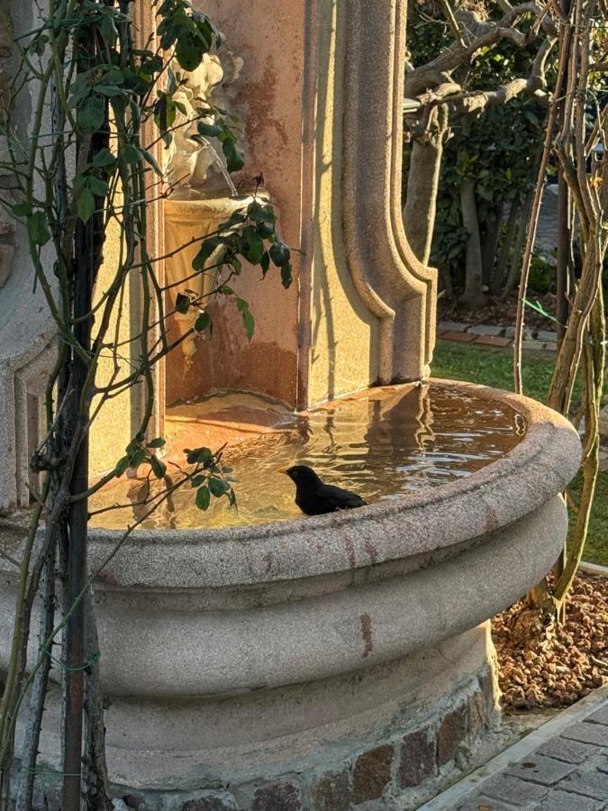 Casa Valentino - Bed and Breakfast Seriate