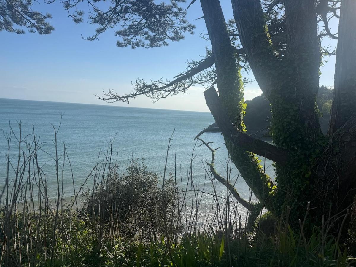 Casa Cwtch - B&B Mumbles