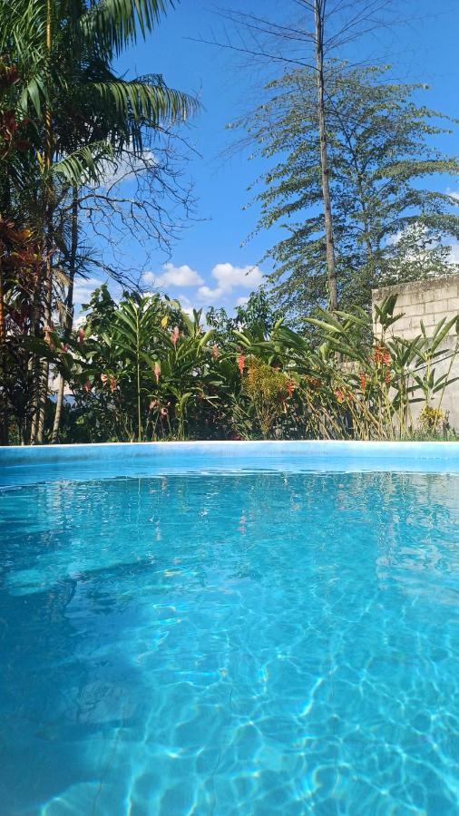 El Cacaotal Finca Faura #5 3H - B&B San Ramón