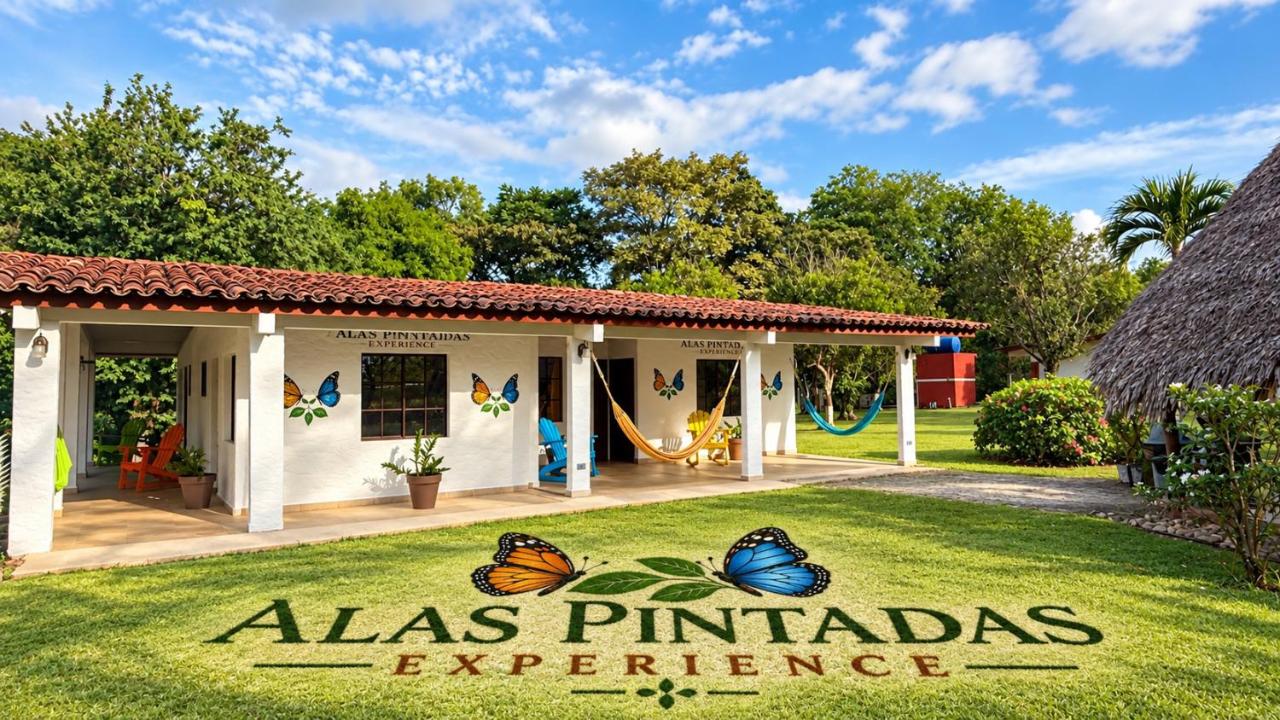 Alas Pintadas Experience - B&B La Pintada