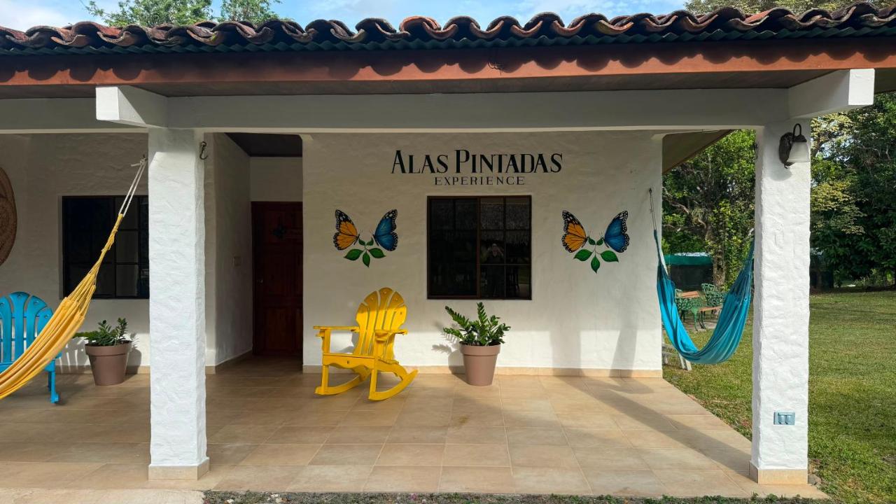 Alas Pintadas Experience - B&B La Pintada