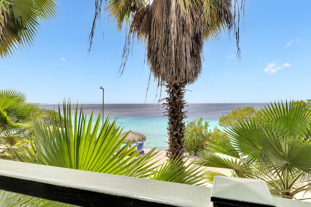 Chachacha Ocean View Apartment on the Sea - Chambres d'hôtes Kralendijk