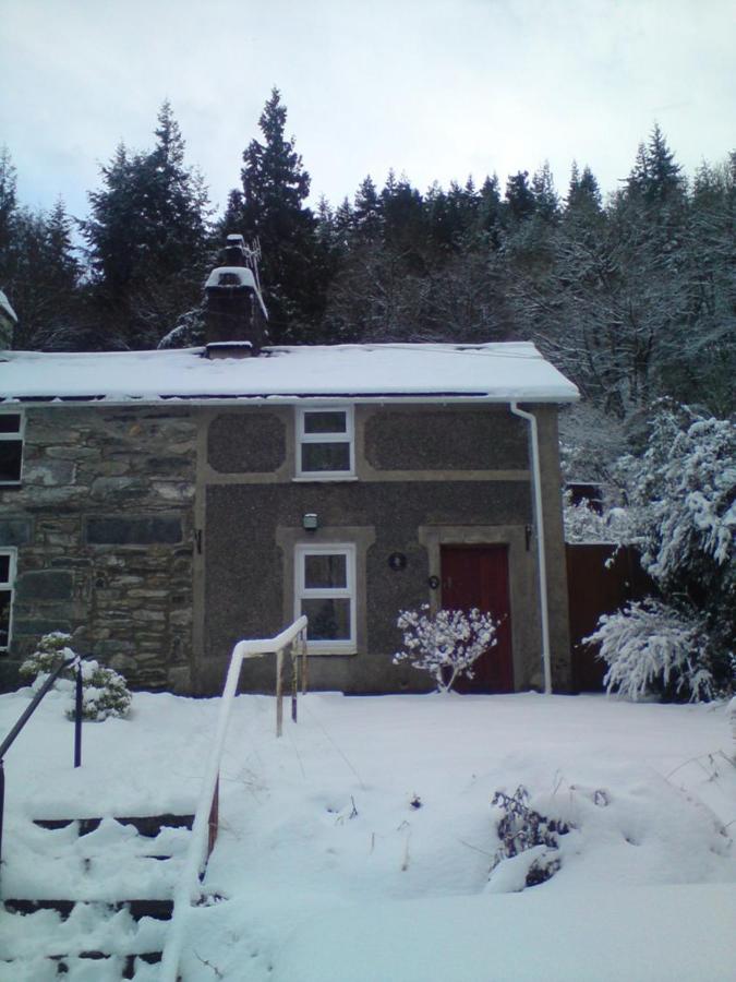 Llugwy Cottage - B&B