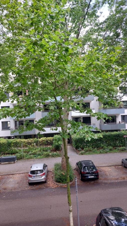Ferienwohnung Mannheim Hbf Center University - B&B Mannheim