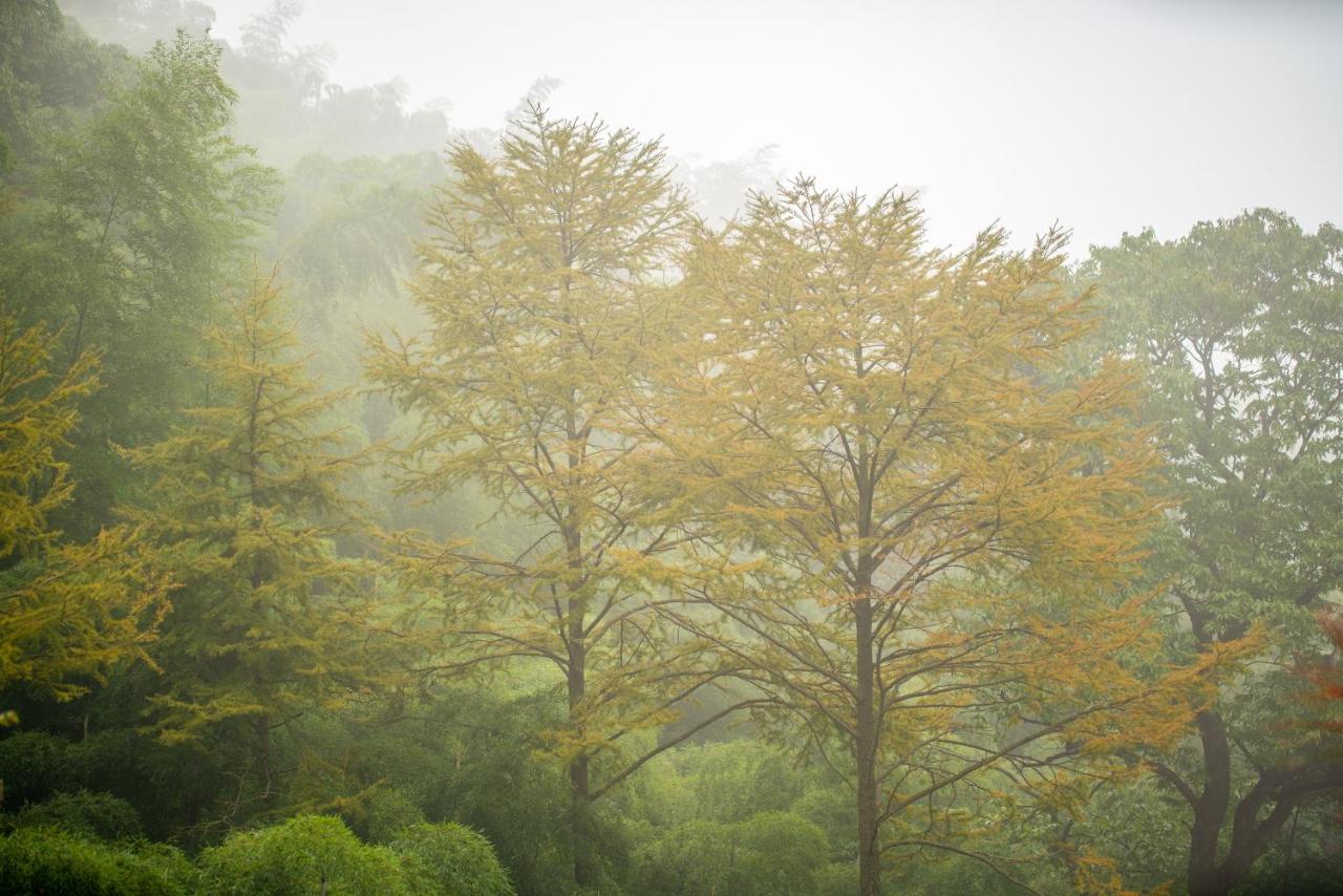 Cloud Stream Valley Hotel - B&B Dashan