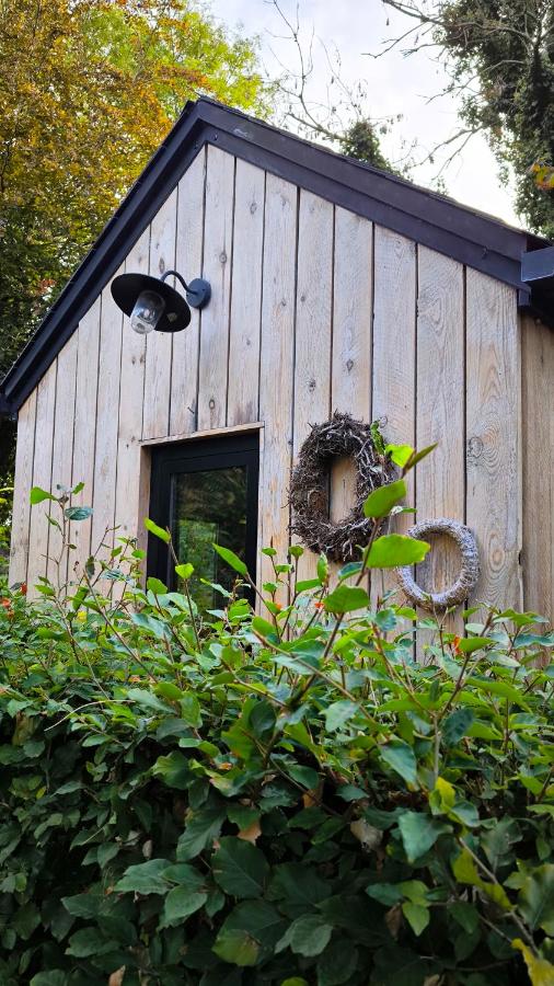 La tiny house du jardin - B&B Huy